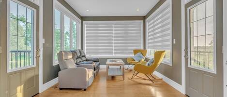 Smart TV, fireplace, books