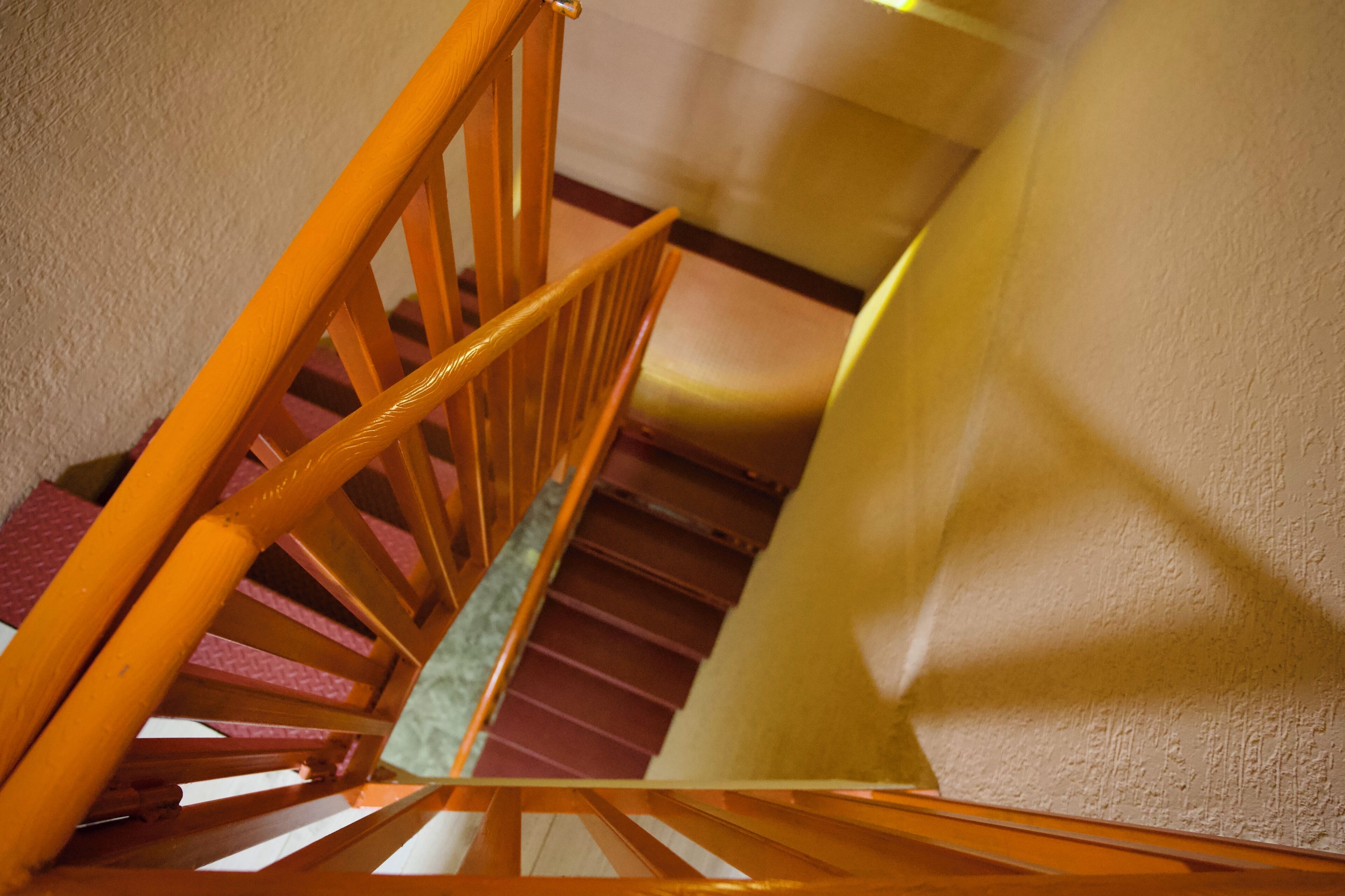 A wooden staircase with a handrail, carpeted steps, and a wall with a textured finish.
