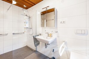 Regadera, amenidades de baño gratuitas, secadora de cabello, toallas 