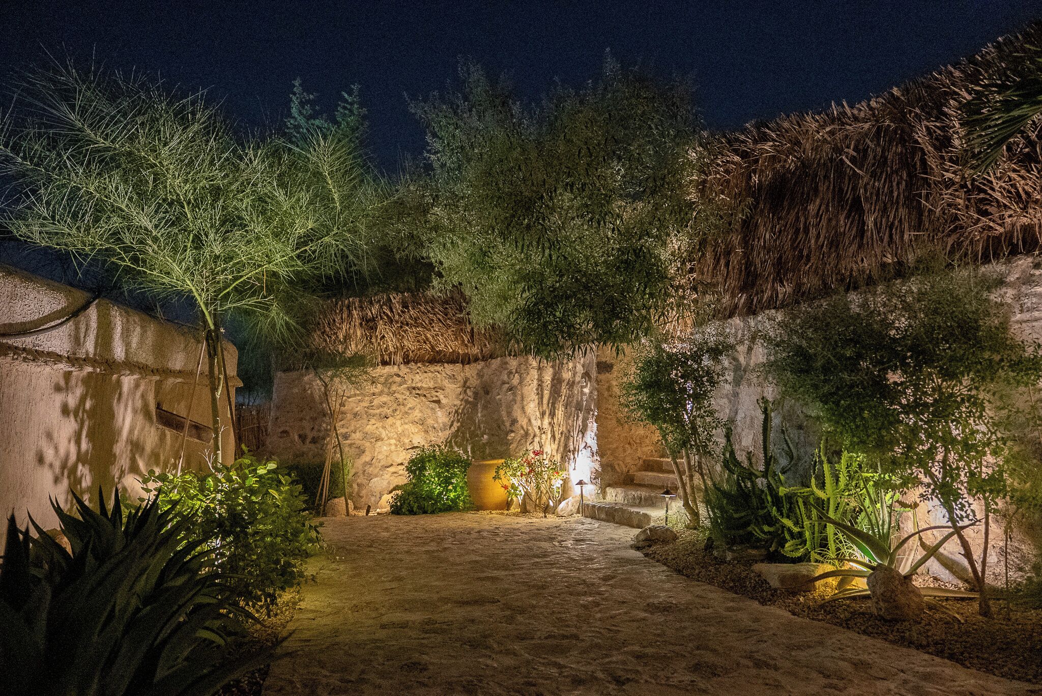 A nighttime garden with various plants and a stone wall.