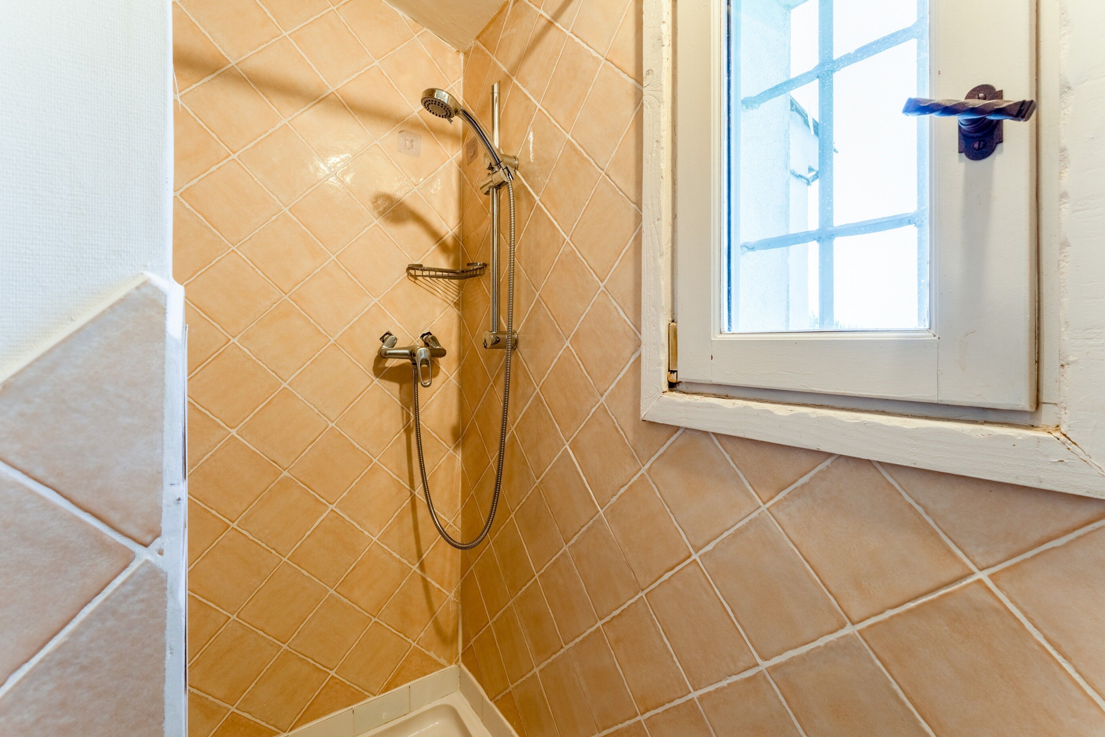 A bathroom with a shower, a window, and a door.