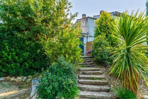 A stone staircase leading up to a building surrounded by lush greenery and a large agave plant.