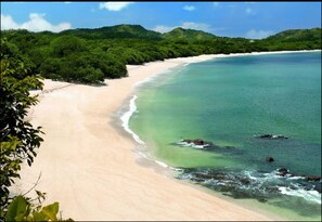 Beach - Luxury condo with ocean view at Reserva Conchal, Costa Rica.
Pet-Friendly! (Santa Cruz)