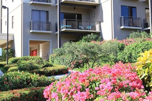 Detalle exterior