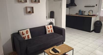 T3 Villa ROMAN-Clim- wifi-Tram-Parking-Terrace