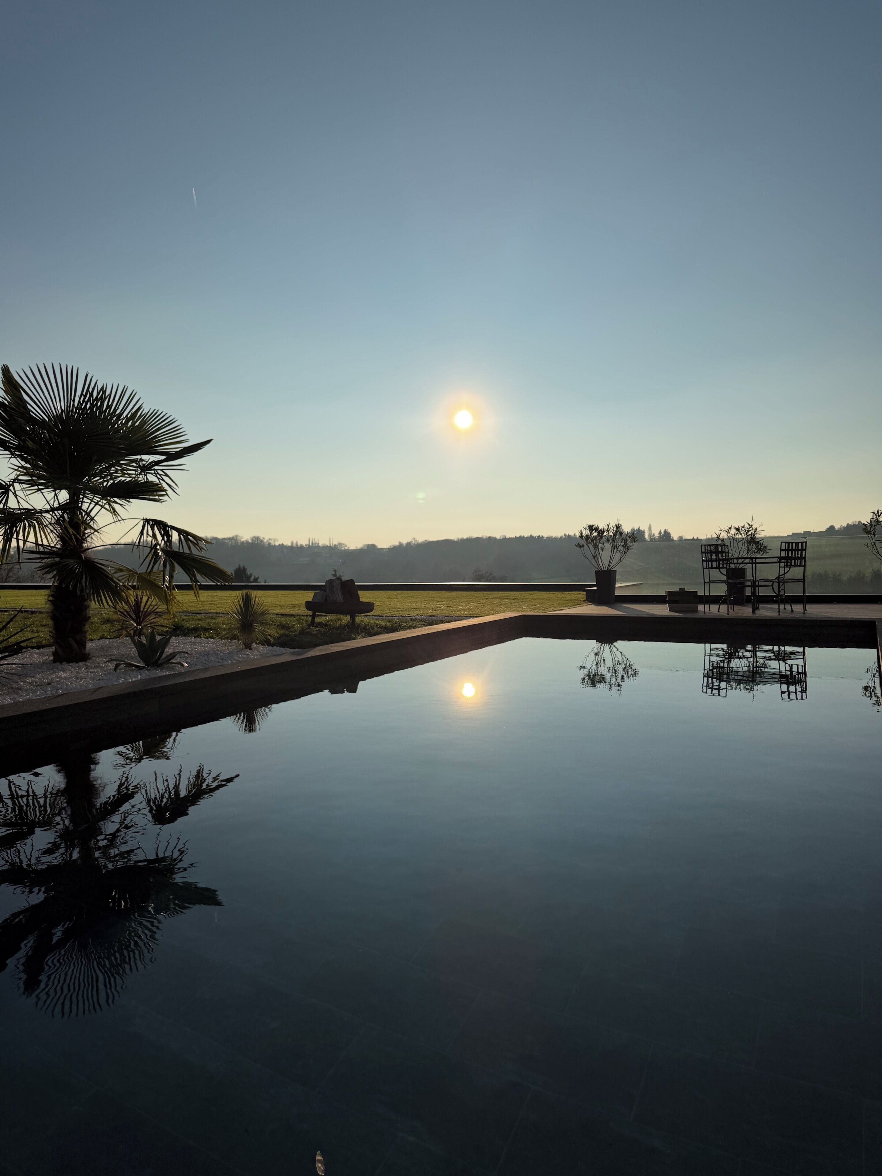 Un entorno exterior tranquilo con un estanque reflectante, palmeras y una vista distante del paisaje.
