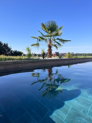 A clear swimming pool with a palm tree in the center, surrounded by lounge chairs and a landscaped garden.
