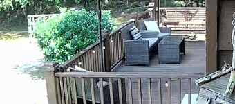 Quiet cabin with 3 fishing ponds on lots of acres. Come enjoy the country life