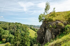 Sekalaista