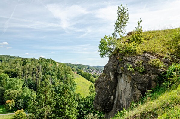 A rocky cliff with a view of a valley and a distant town.
