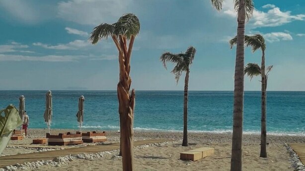 A beach with palm trees and umbrellas.