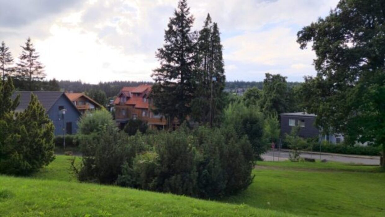 Área da propriedade