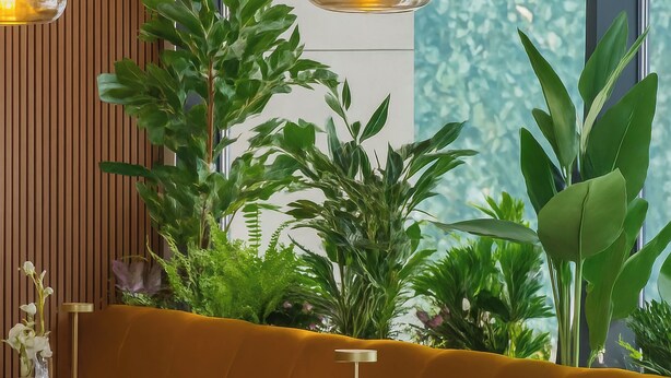 A restaurant with wooden panel walls, green plants, and yellow cushioned seating. Tables are set with white napkins, cutlery, and glassware. - ONE66 (Brașov)