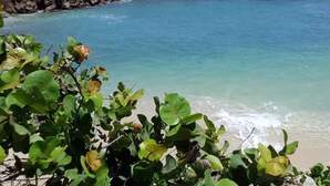 A rocky breakwater with clear turquoise water, a grassy area with a bench, and lush green foliage in the foreground.