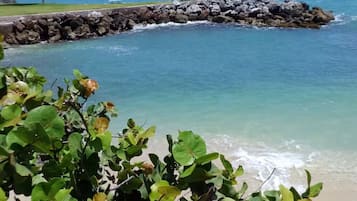 Basic Apartment, Beach View | Beach/ocean view