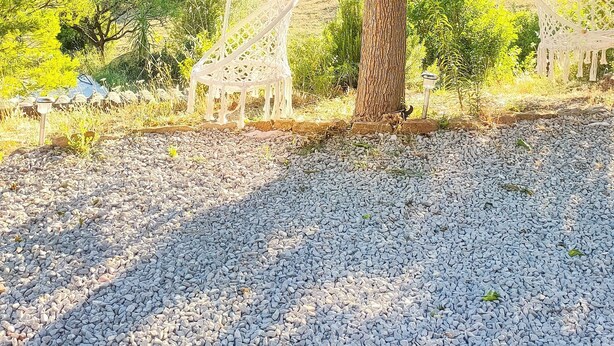 A tree with a gravel path under it. - Lovely apartment with swimming pool and exterior (Gabian)
