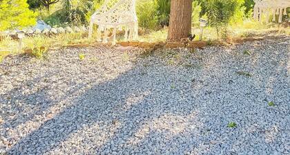 Lovely apartment with swimming pool and exterior