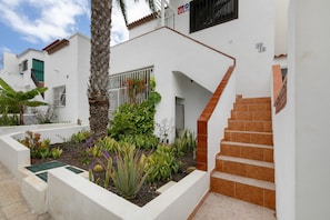 Um edifício branco com uma escadaria, um jardim com diversas plantas e uma palmeira.