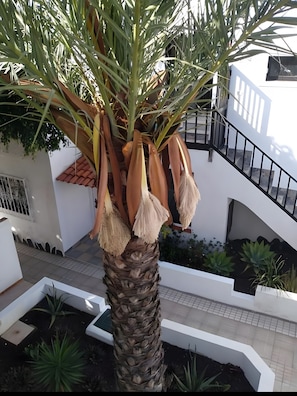 Detalhe da fachada