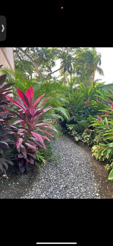 Serenity Grove, Montego Bay Luxury AC Condo, Hip Strip near Airport