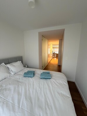 2 bedrooms, iron/ironing board, Internet, bed sheets - Koningslaan Zegemeer Knokke (Knokke-Heist)
