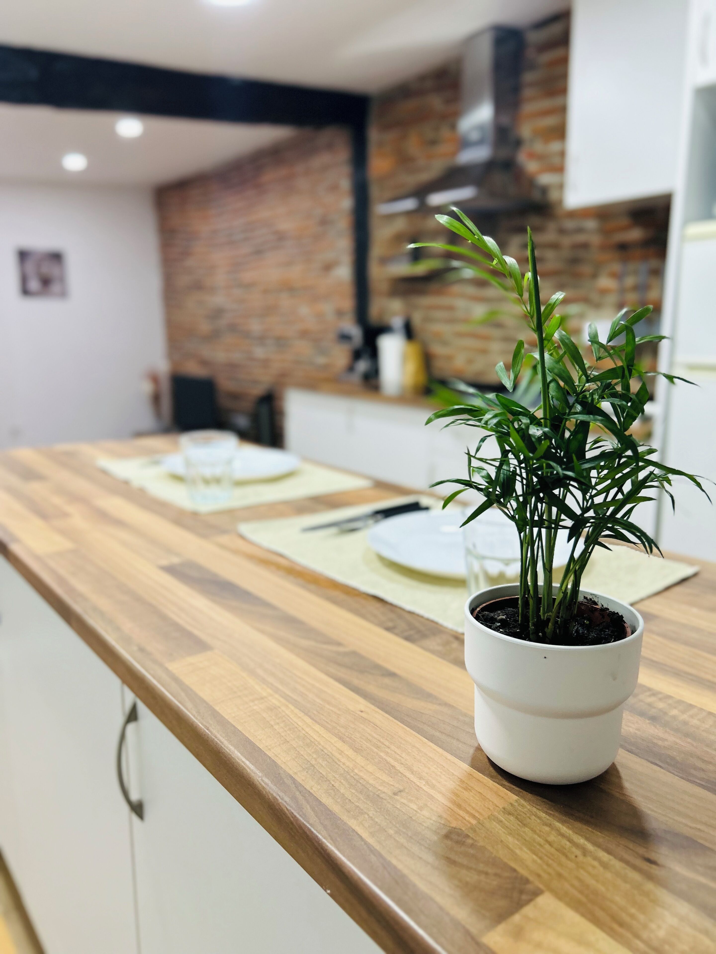 Eine Küche mit einer Holzausziehtheke, einem Blumentopf und einer Ziegelwand im Hintergrund.