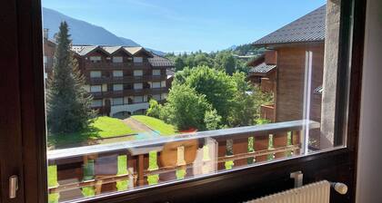 Mountain studio in the center of Les Carroz, ideal for couples and small families.