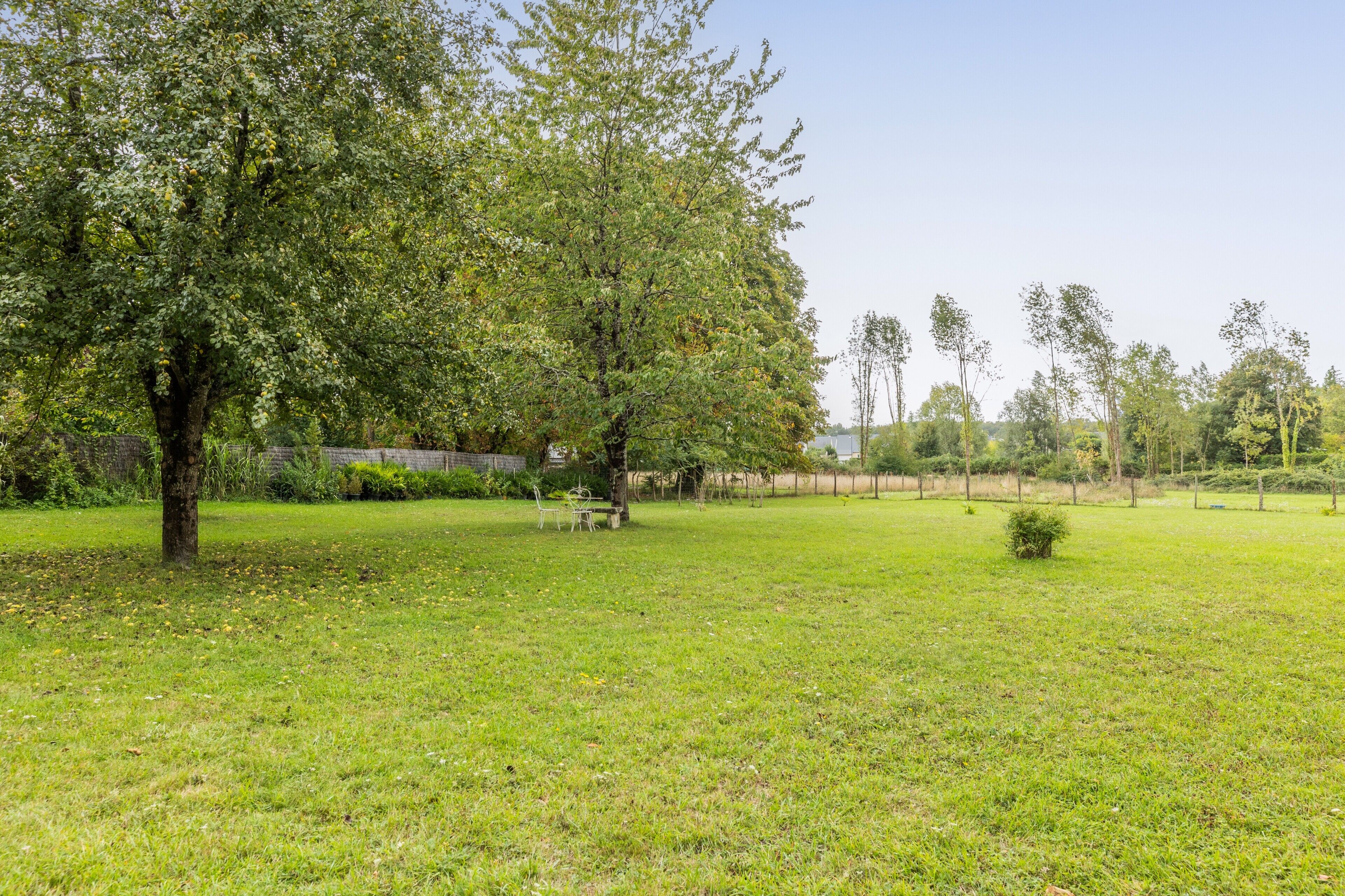 A grassy area with trees and a fence.