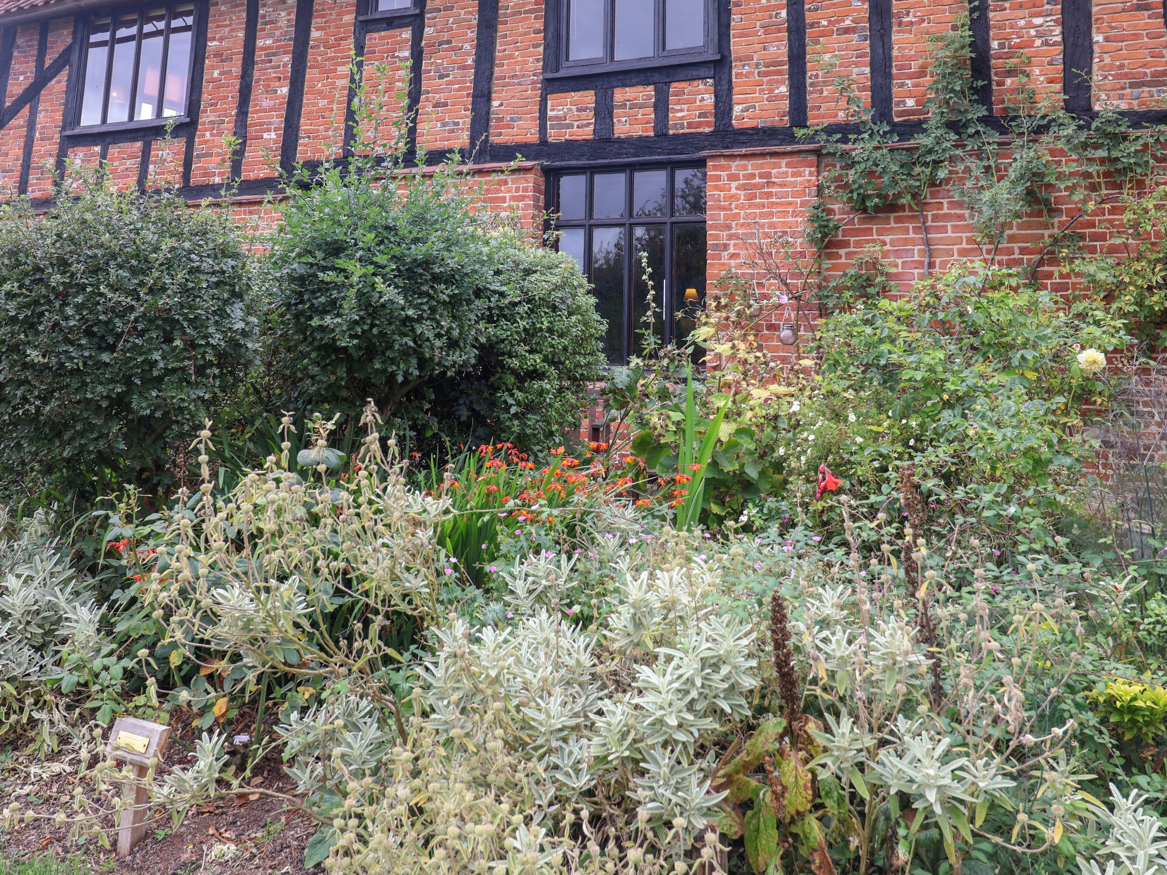 A garden with various plants and flowers in front of a brick building with black window frames.
