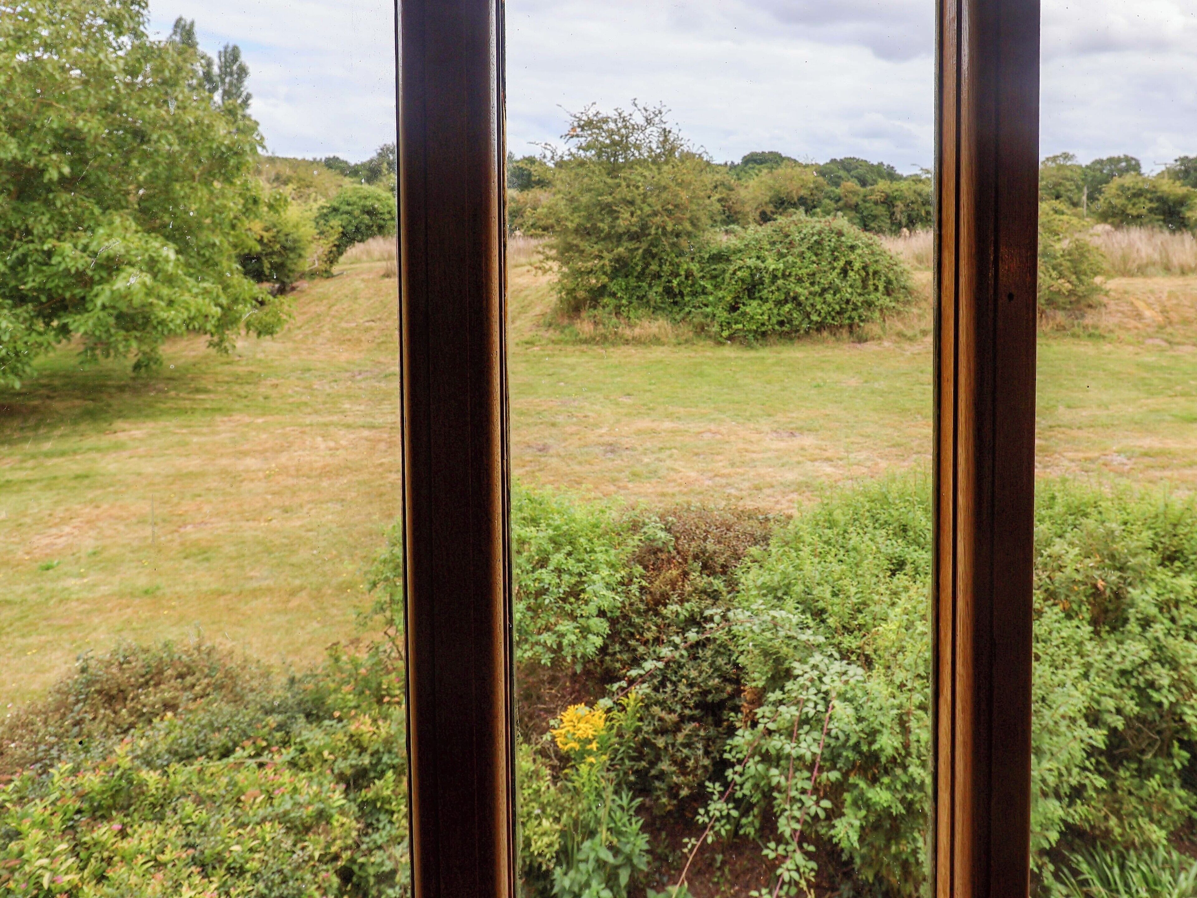 A view through a window with a natural landscape outside, including grass, bushes, and trees.