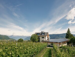 Une maison moderne dotée d’un toit en pente, entourée de vignes, avec des montagnes en toile de fond.