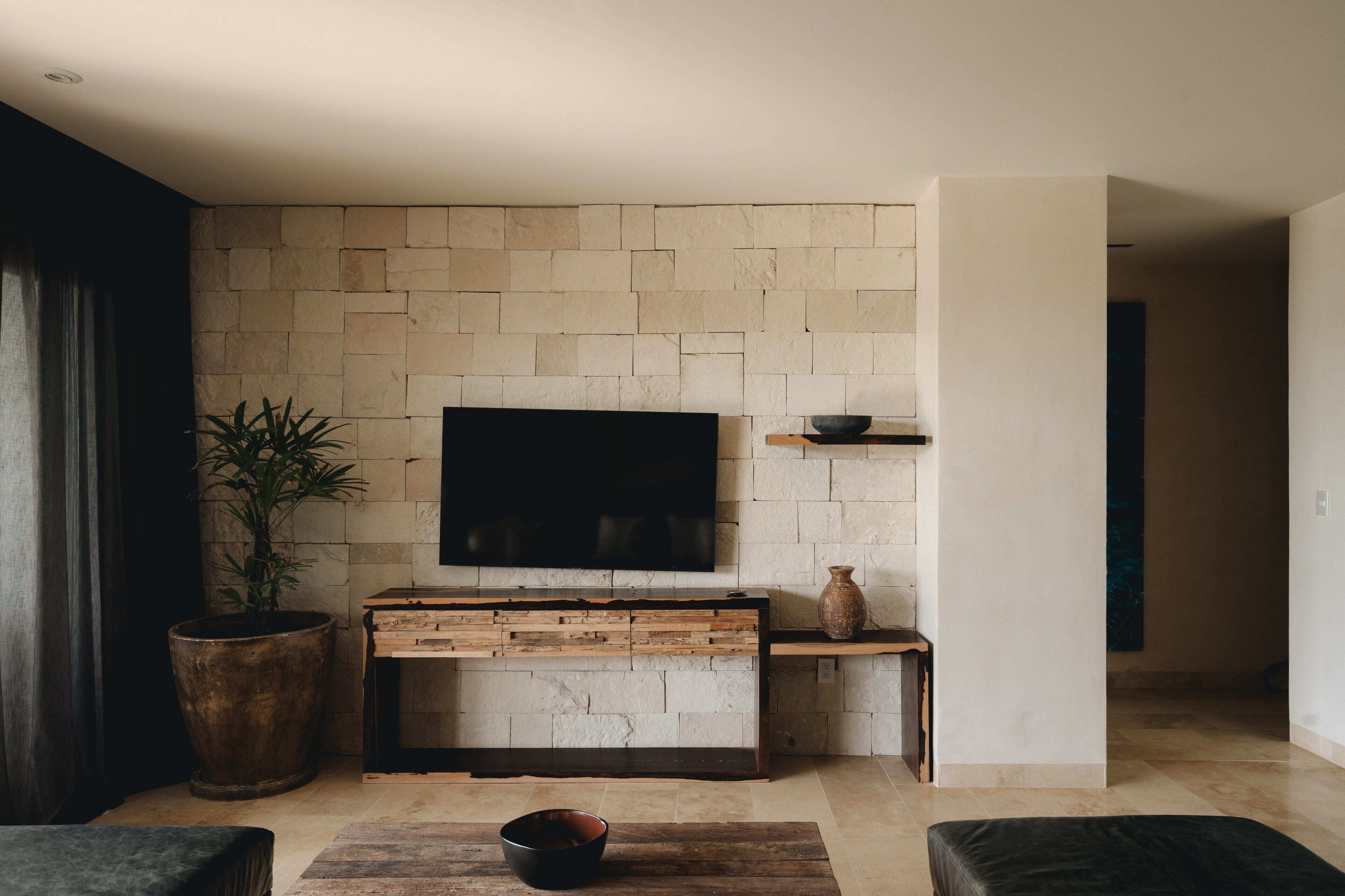 A modern living room with a stone wall, a flat-screen TV, a wooden coffee table, and a large potted plant.