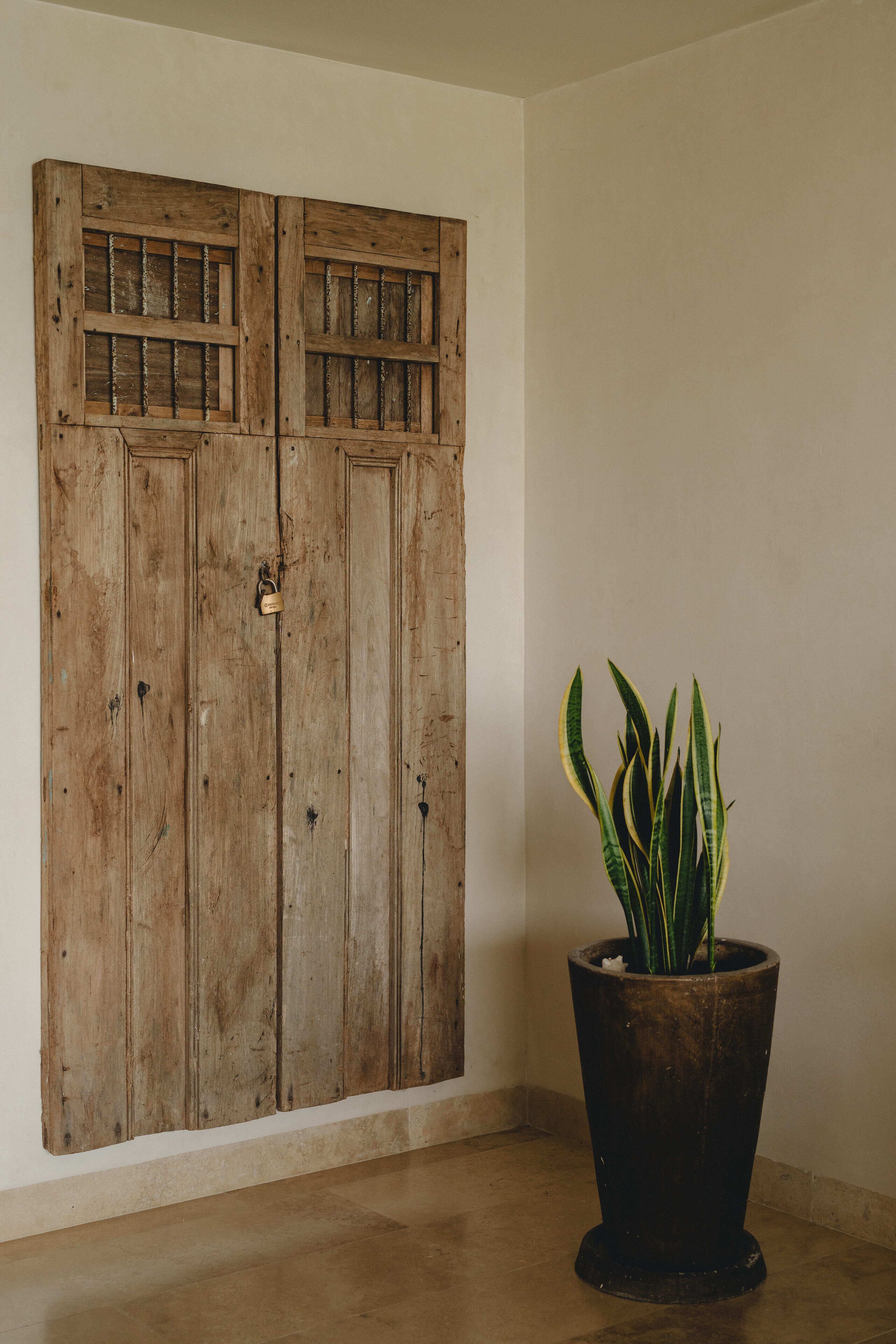 A room with a large wooden wardrobe and a potted plant.