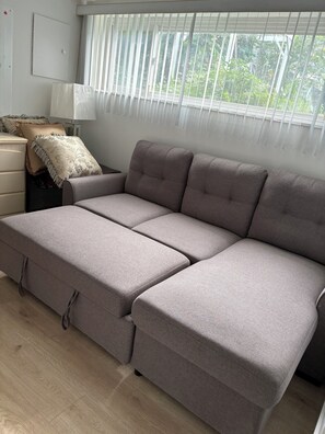 Smart TV, DVD player, books