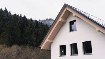 Ulkopuoli