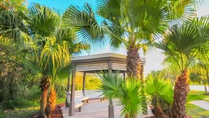 A gazebo surrounded by palm trees and a pathway leading to it.