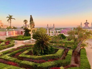 المنطقة المحيطة بالمنشأة