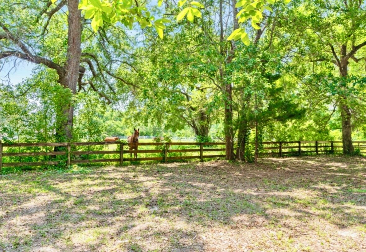 A fenced outdoor area with trees and a horse.