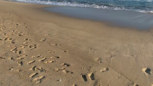 Une plage de sable où l’on peut voir des empreintes de pas qui mènent à l’eau.