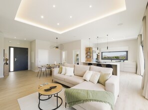 TV, fireplace, table tennis