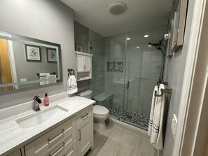Shower, hair dryer, towels, soap - Comfortable home in Tampa with Saltwater Pool (Tampa)