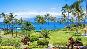 A tropical resort with a golf course, palm trees, and a view of the ocean.