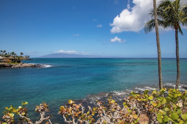 A coastal view with clear blue water, a distant mountain, and palm trees.