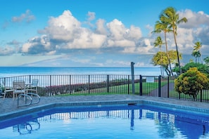 A swimming pool with a view of the ocean, a fenced area with chairs, and palm trees.