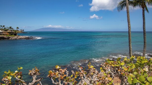 A coastal view with clear blue water, a distant mountain, and palm trees. - Napili Point | Oceanfront 5 BR, Sleeps 14 | Car Incl. w/ 6+ Nights | NAP ML-1571 by KBM (Lahaina)