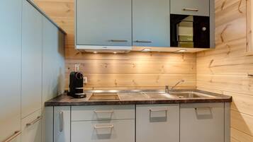 Kühlschrank, Mikrowelle, Herdplatte, Geschirrspüler