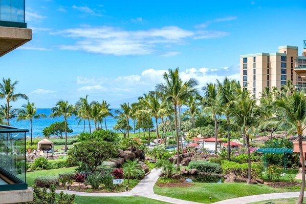 Terrain de l’hébergement 