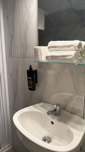 Shower, hair dryer, bidet, towels