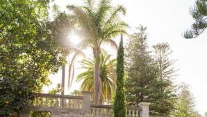 A stone bridge with balustrades, surrounded by lush greenery and a palm tree. - Ocean Views At Cottesloe Beach (Cottesloe)