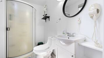 Douche, sĂšche-cheveux, savon, papier toilette